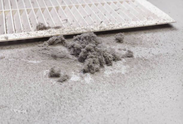 Best Air Vent Cleaning Services  in Bellevue, WA