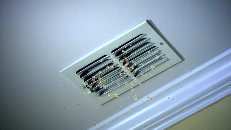 Best Best Air Duct Cleaning Company  in Bellevue, WA