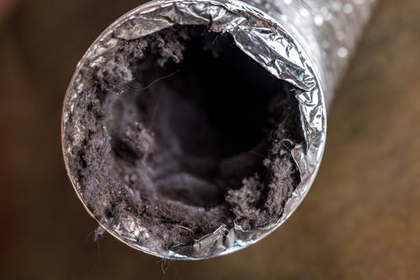 Best HVAC Maintenance and Cleaning  in Bellevue, WA