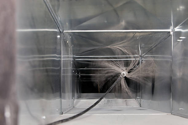 Best Air Duct Mold Removal  in Bellevue, WA